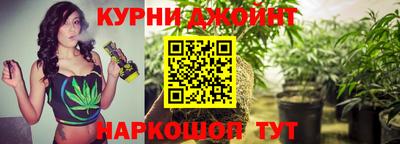 гидропоника Ачхой-Мартан