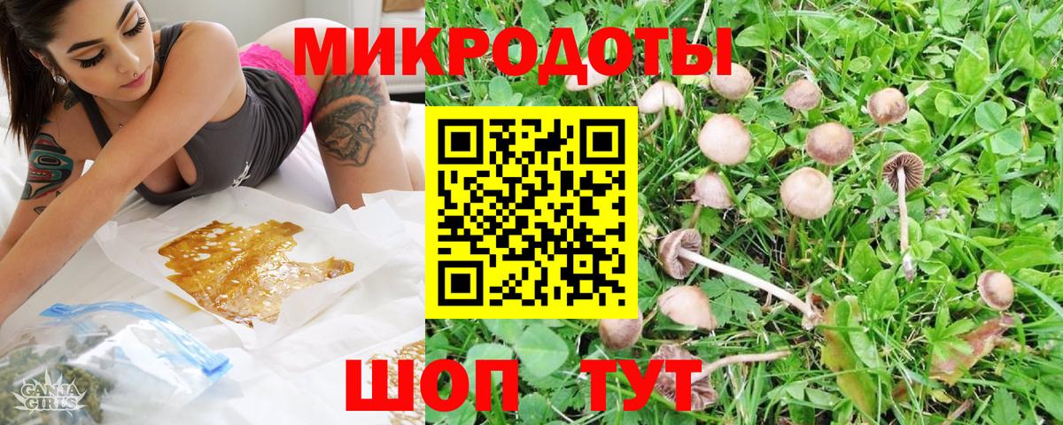 Галлюциногенные грибы MAGIC MUSHROOMS Горно-Алтайск