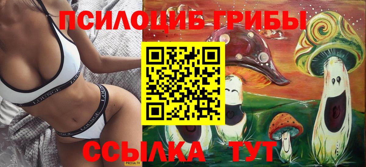 Псилоцибиновые грибы ЛСД  Галлюциногенные грибы GOLDEN TEACHER  как найти наркотики  Горно-Алтайск  Вход с VPN 